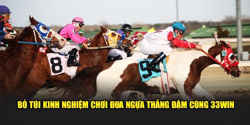 Bỏ túi kinh nghiệm chơi Đua Ngựa thắng đậm cùng 33Win