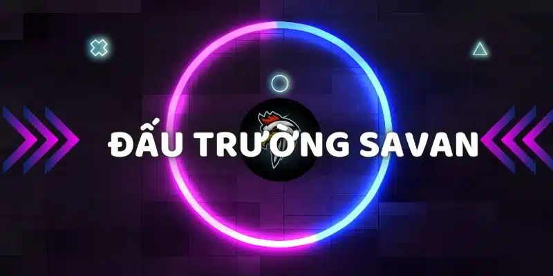 Khái quát chung về một số điều ở trường gà Savan