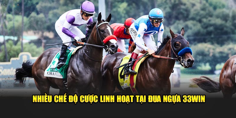 Nhiều chế độ cược linh hoạt tại Đua Ngựa 33Win